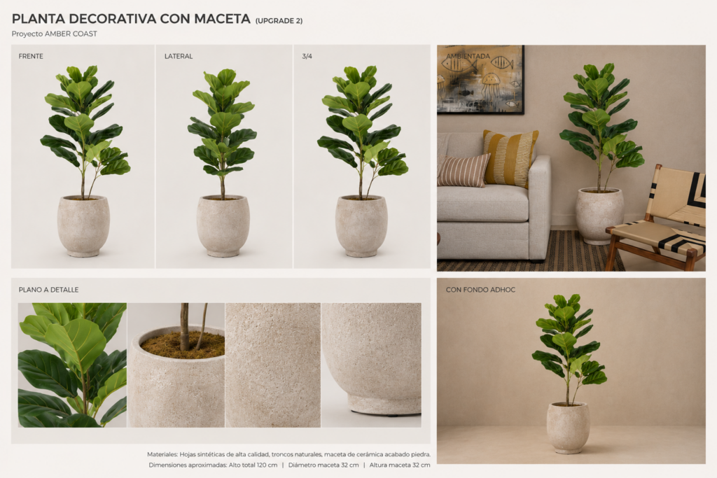 Planta y maceta