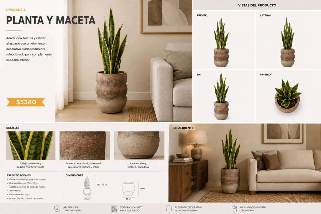 Planta y maceta