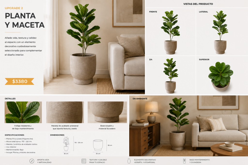 Planta y maceta