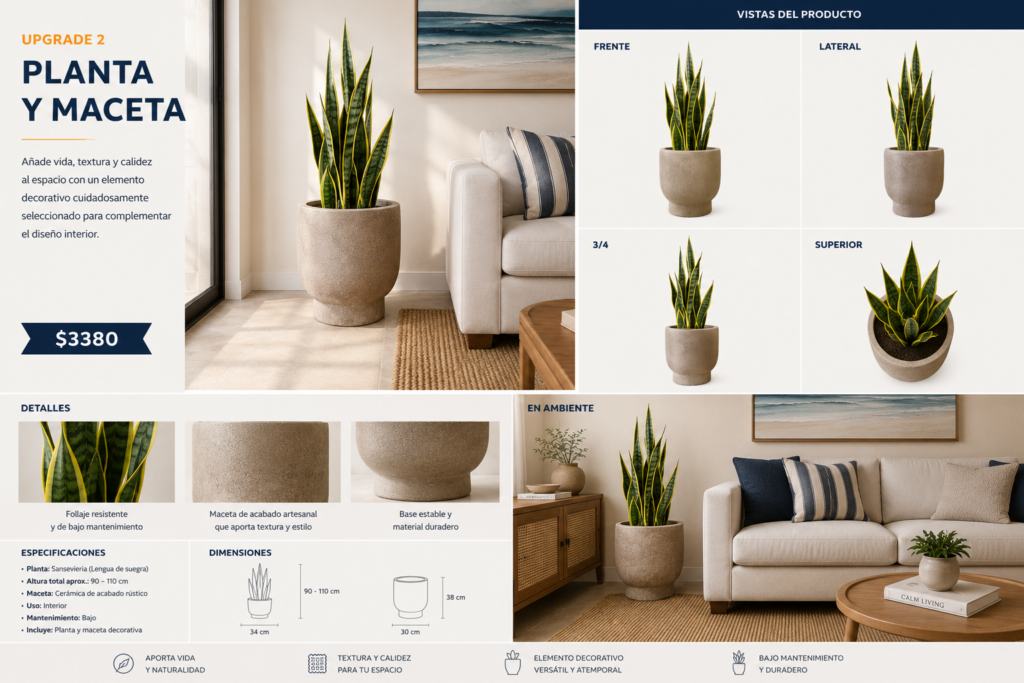Planta y maceta