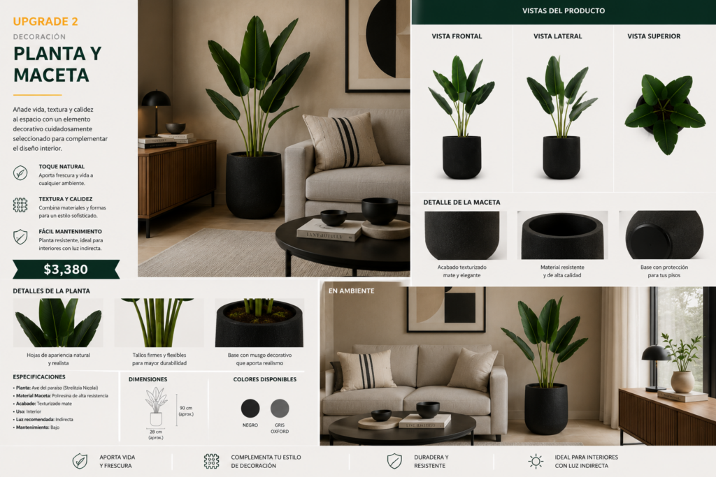 Planta y maceta
