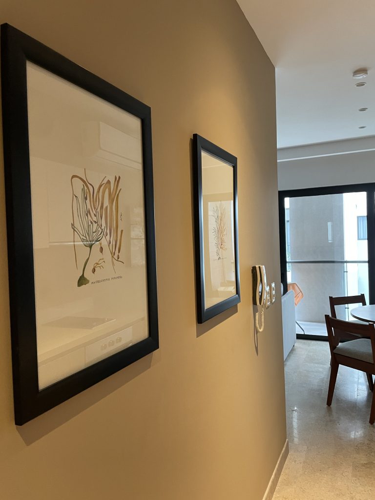 Living room furnished by Homiture — rental-ready unit in the Riviera Maya